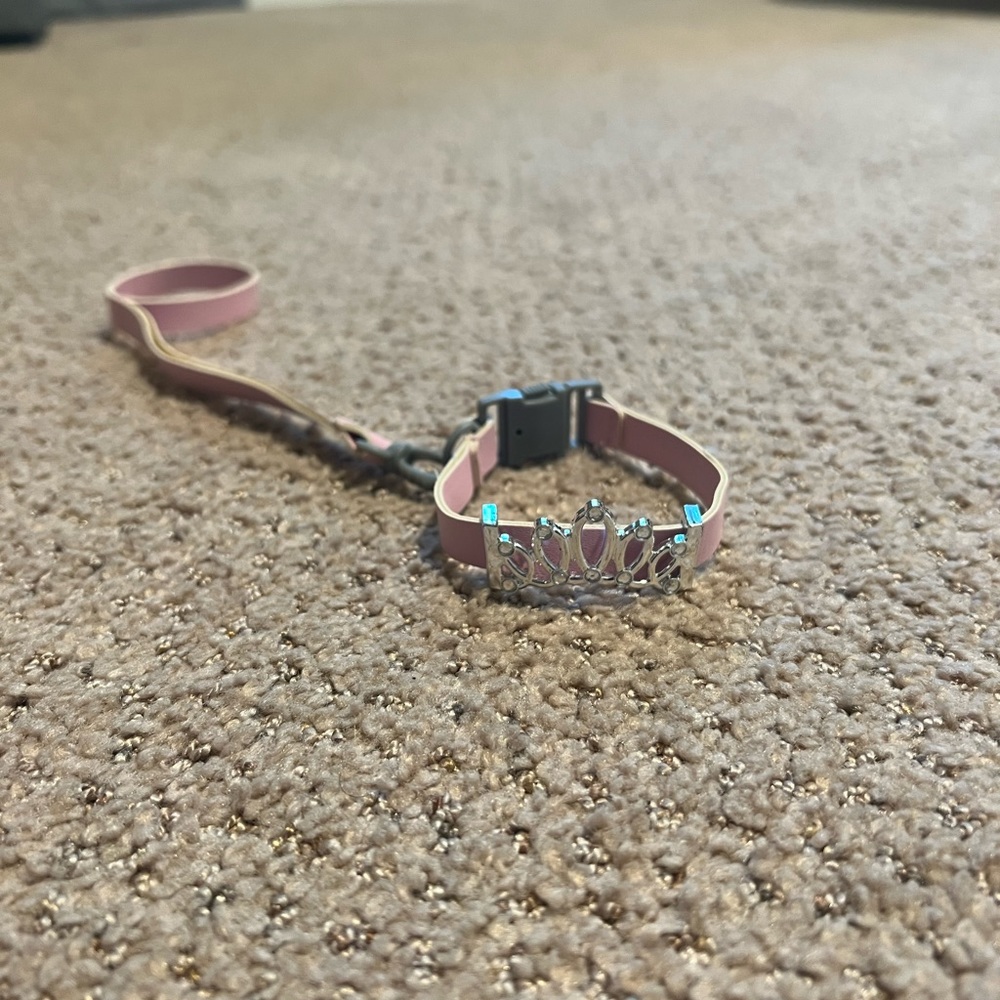 American Girl Dog or Cat Leash